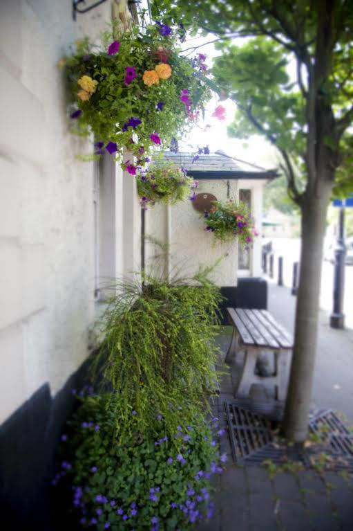 Hotel Dukes Head 3*